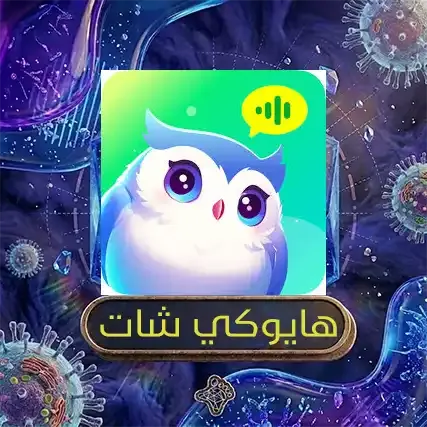 هايوكي